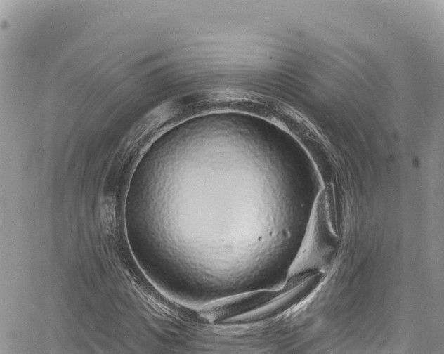 X0000065260825200602211247