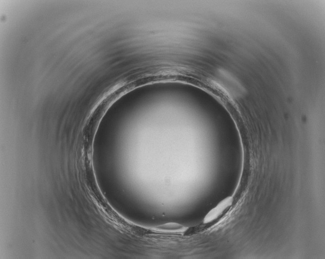 X0000065260827200602211247