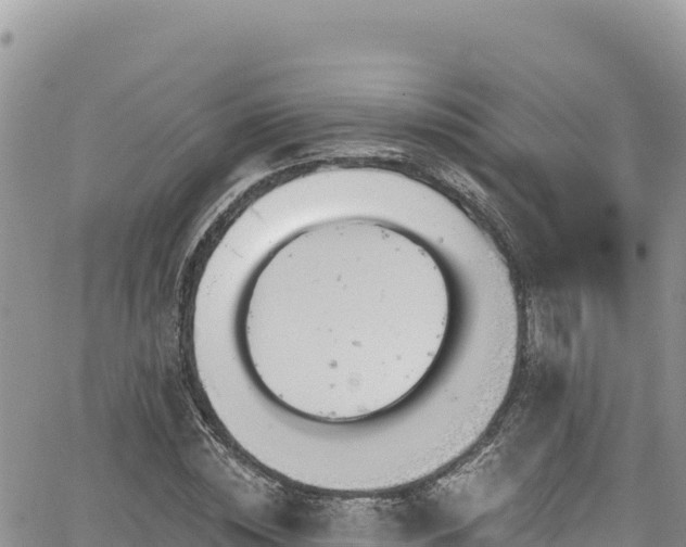 X0000065260828200602211248