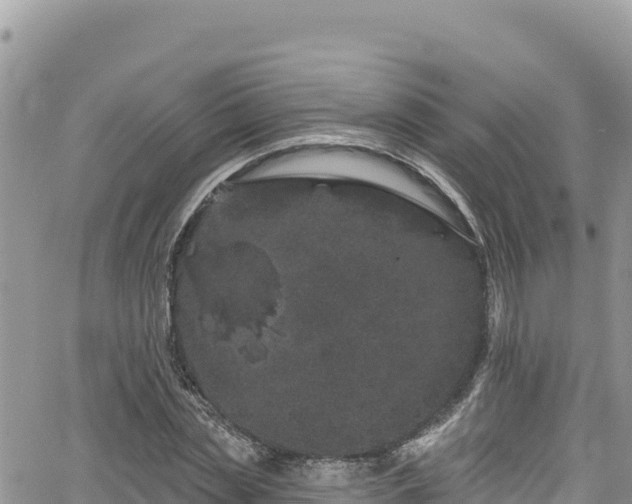 X0000065260829200602211248