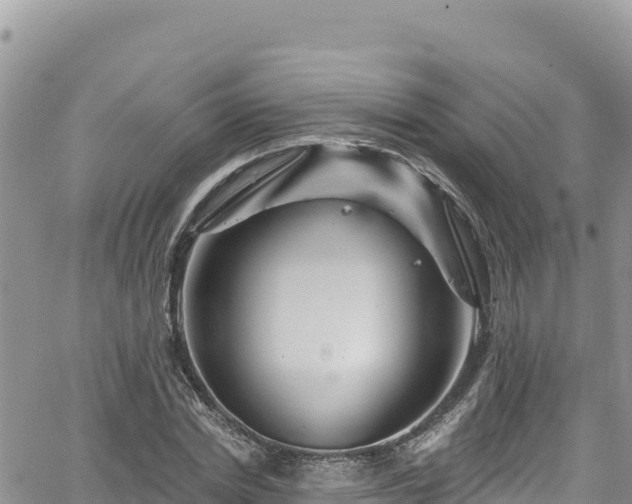 X0000065260830200602211248