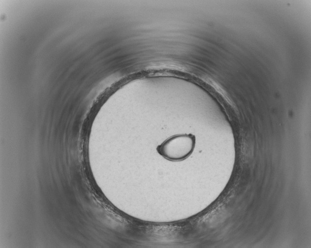 X0000065260832200602211248