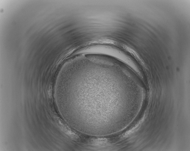 X0000065260833200602211248