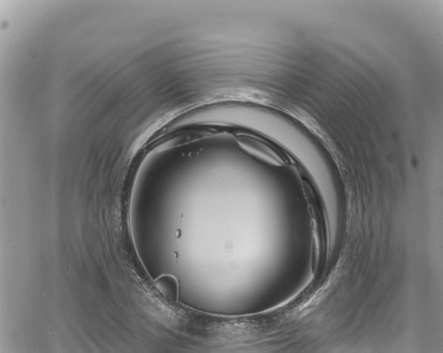 X0000065260834200602211248