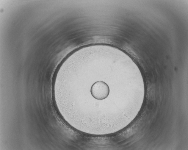 X0000065260836200602211248