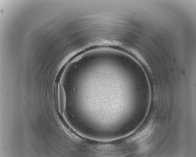 X0000065260837200602211248