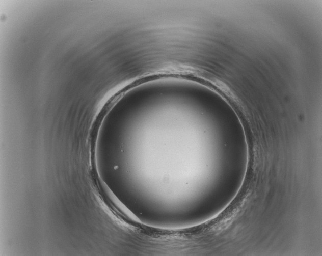 X0000065260838200602211248