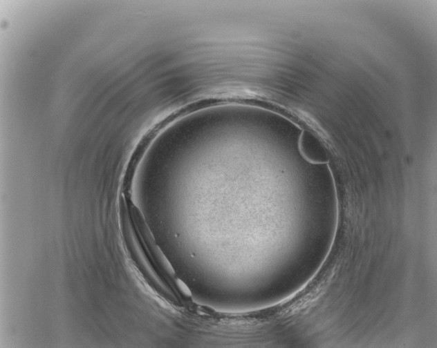 X0000065260840200602211248