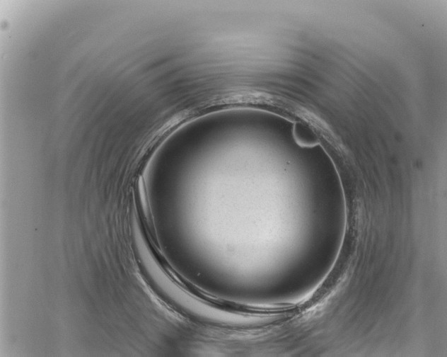 X0000065260841200602211248