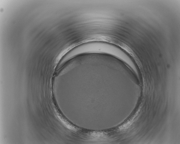 X0000065260842200602211248