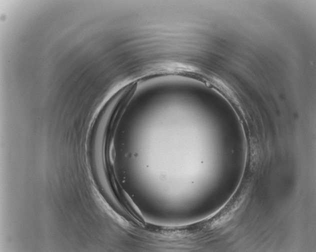 X0000065260843200602211248