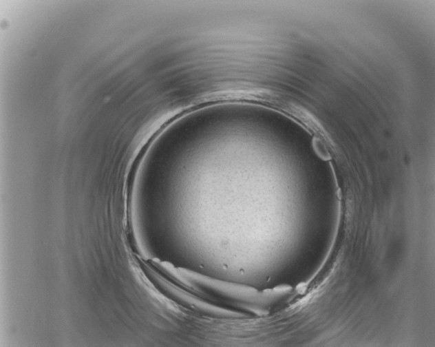 X0000065260844200602211248