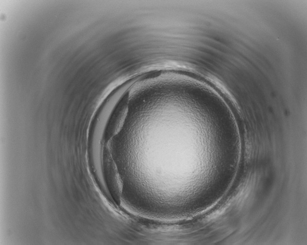 X0000065260845200602211248