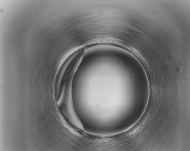 X0000065260846200602211248