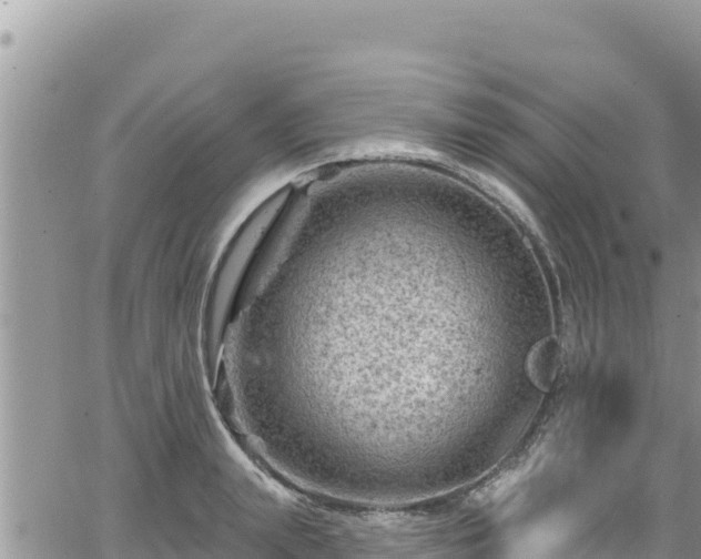 X0000065260847200602211248