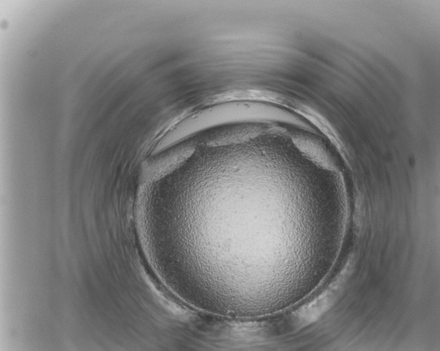 X0000065260849200602211248