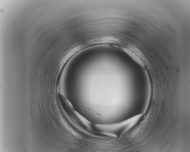 X0000065260850200602211248