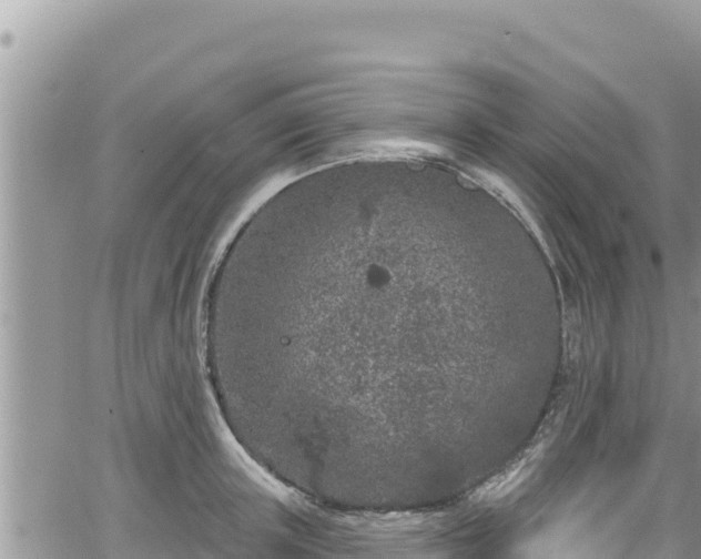 X0000065260851200602211248