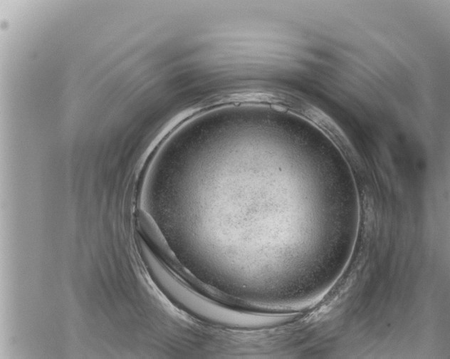 X0000065260852200602211248