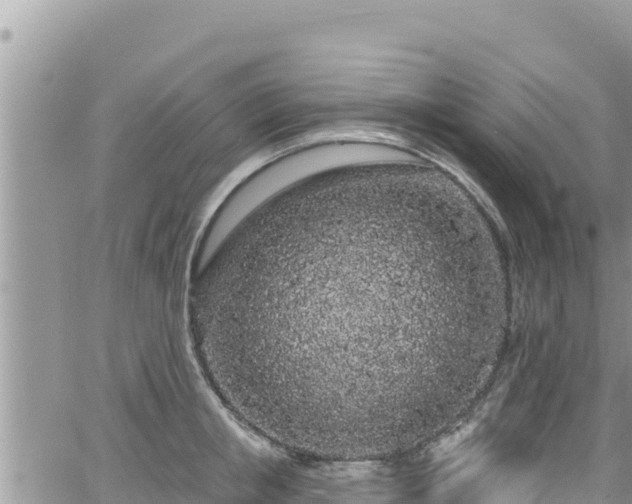 X0000065260853200602211248