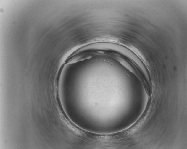 X0000065260854200602211248