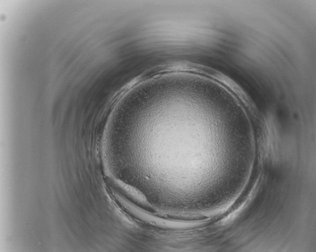 X0000065260857200602211248