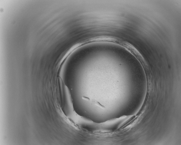 X0000065260860200602211248