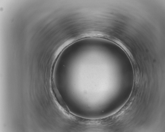 X0000065260861200602211248