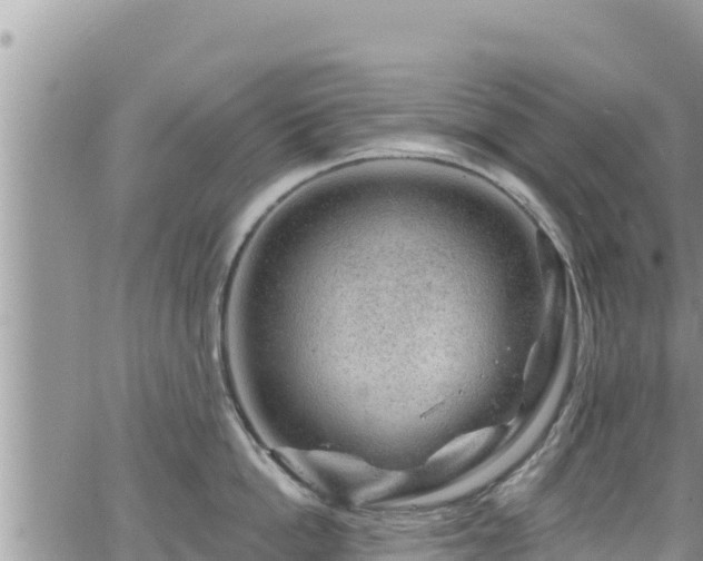 X0000065260862200602211248