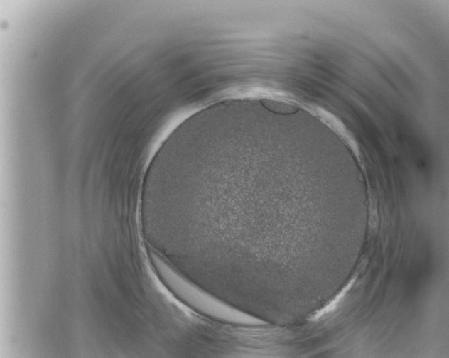 X0000065260863200602211248