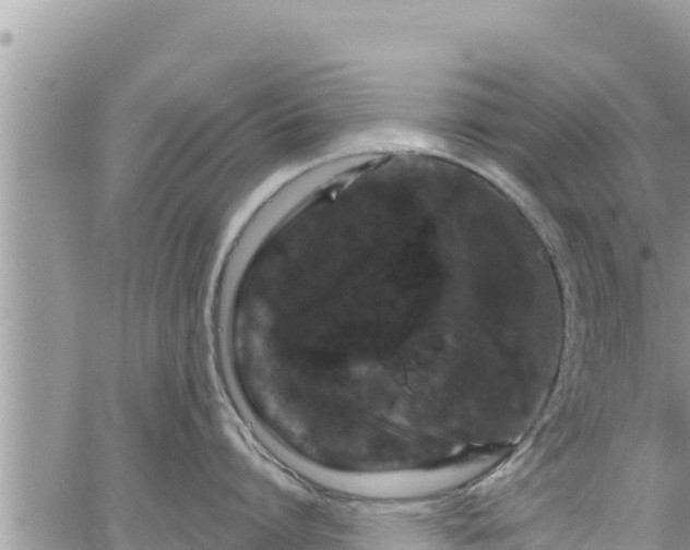 X0000065260864200602211248