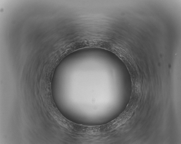 X0000065260865200602211247