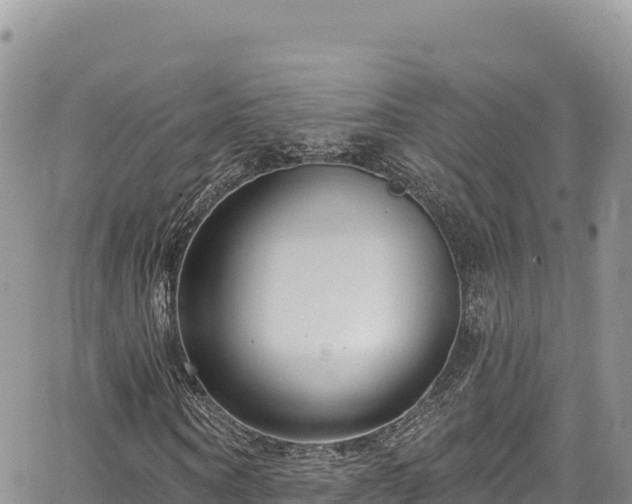 X0000065260866200602211247