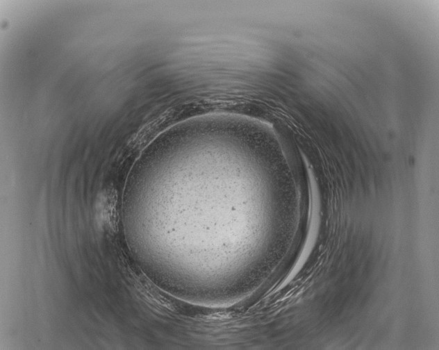 X0000065260867200602211247