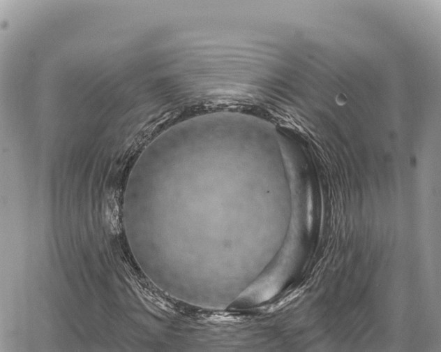 X0000065260868200602211247