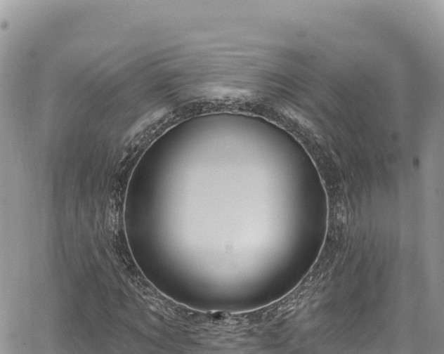 X0000065260869200602211247