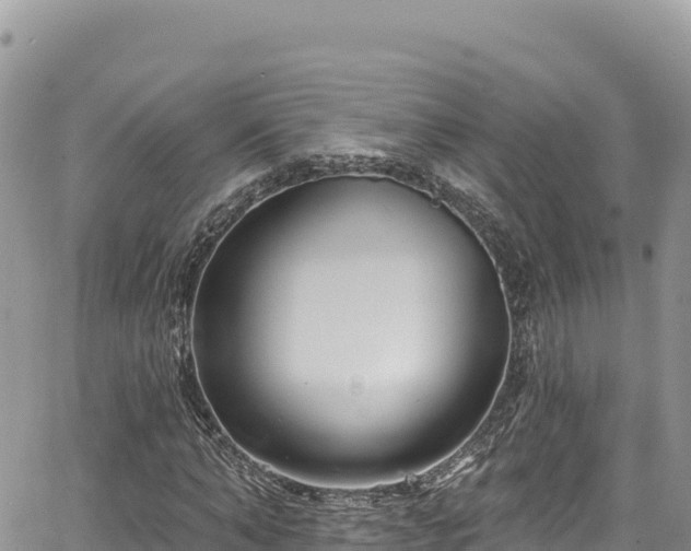 X0000065260870200602211247