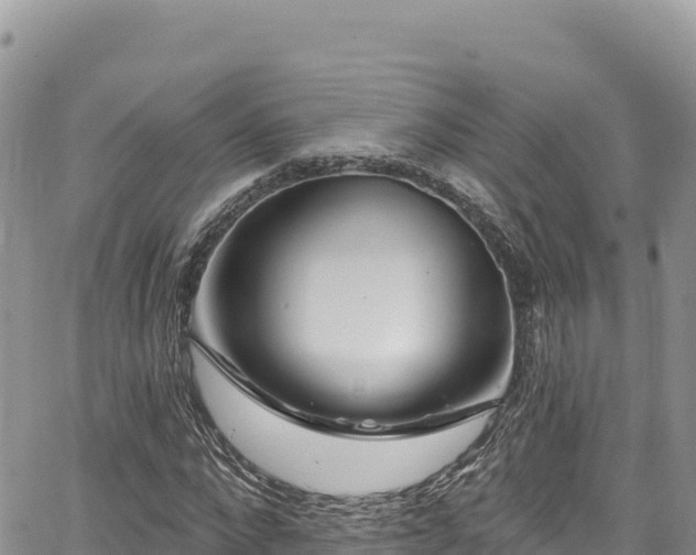 X0000065260872200602211247