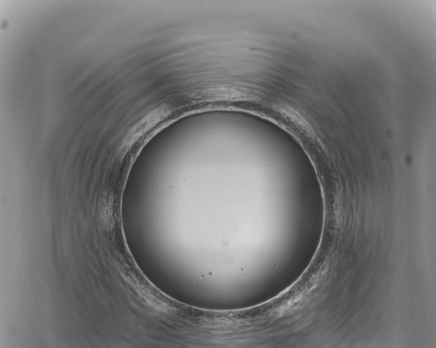 X0000065260873200602211247