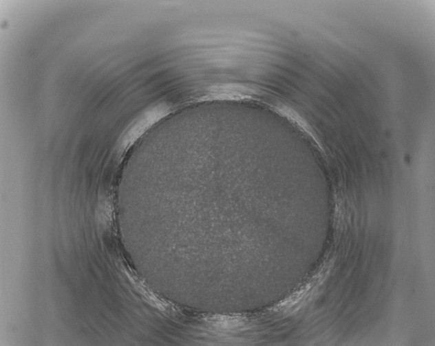 X0000065260874200602211247