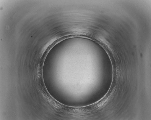 X0000065260875200602211247