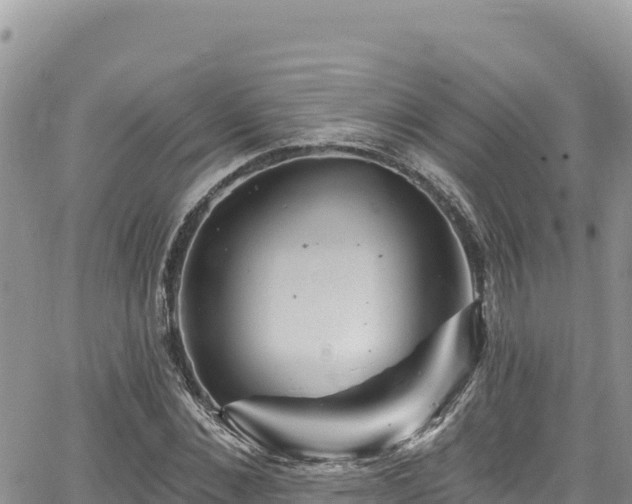 X0000065260876200602211247