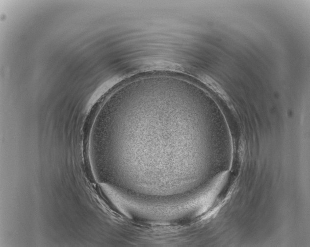 X0000065260877200602211247