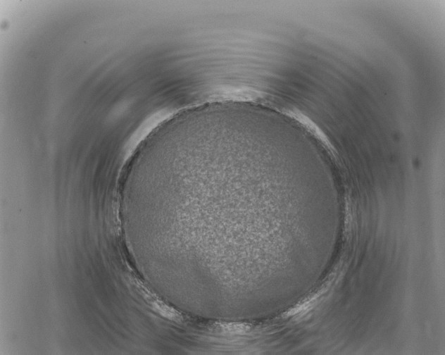 X0000065260878200602211247