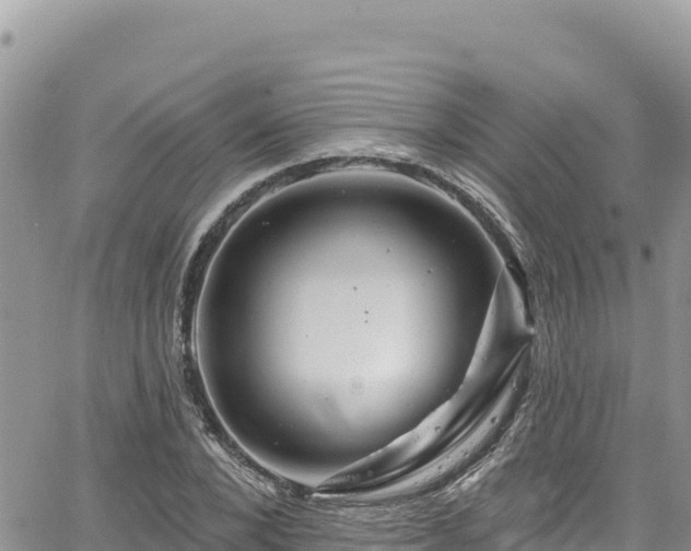 X0000065260880200602211247