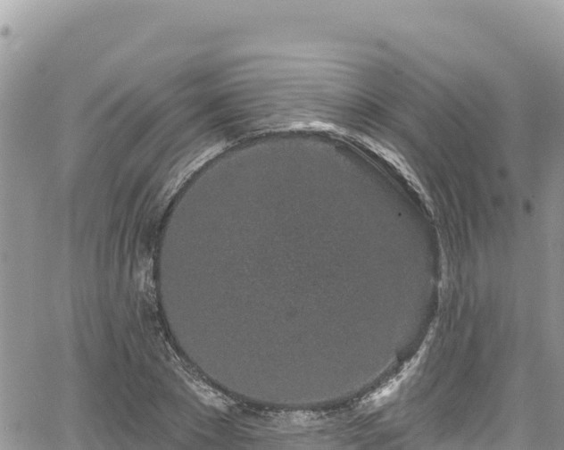 X0000065260881200602211247