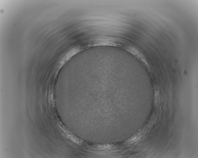 X0000065260882200602211247