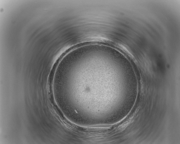 X0000065260883200602211247