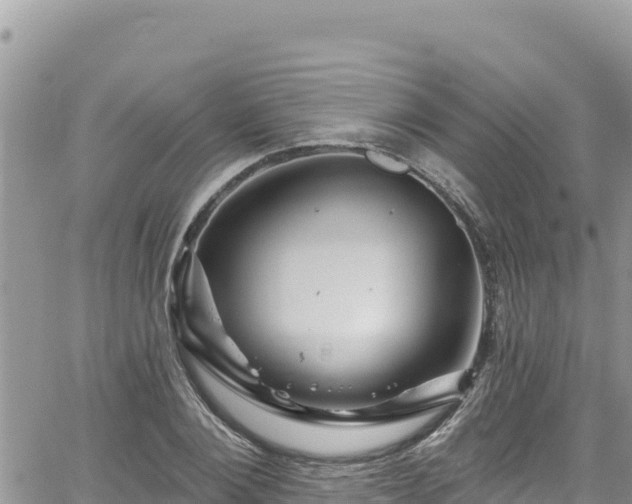 X0000065260884200602211247