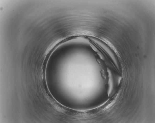 X0000065260885200602211247